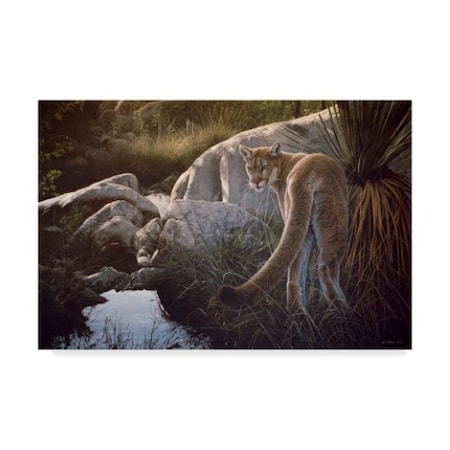 Ron Parker 'Creekside Cougar' Canvas Art,16x24